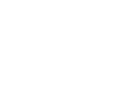 activity alliance